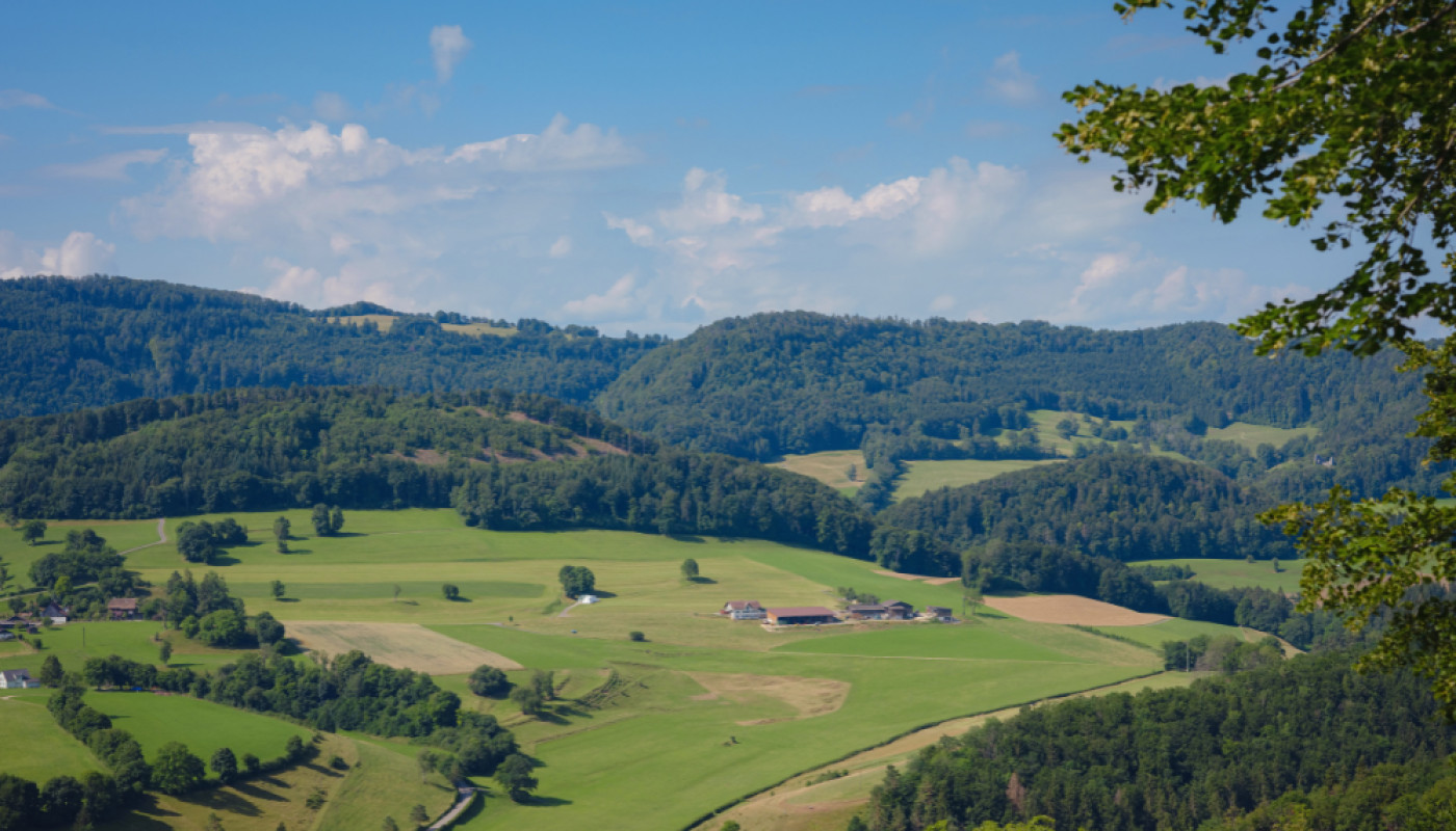 Chalet à louer dans le Jura : on a trouvé le meilleur rapport qualité/prix !